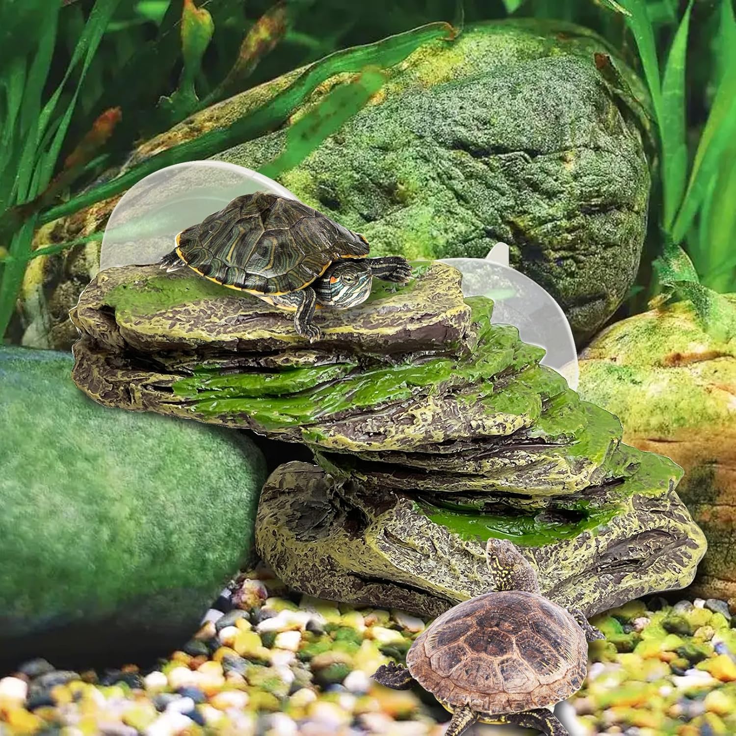 kathson Turtle Basking Platform Floating Turtle Dock Baby Tortoise Climbing Ramp Shale Reptiles Dock Resting Terrace Stone Aquarium Ornament for Frogs Newts (Green Size:6.0”Lx2.7”Wx2.7”H)