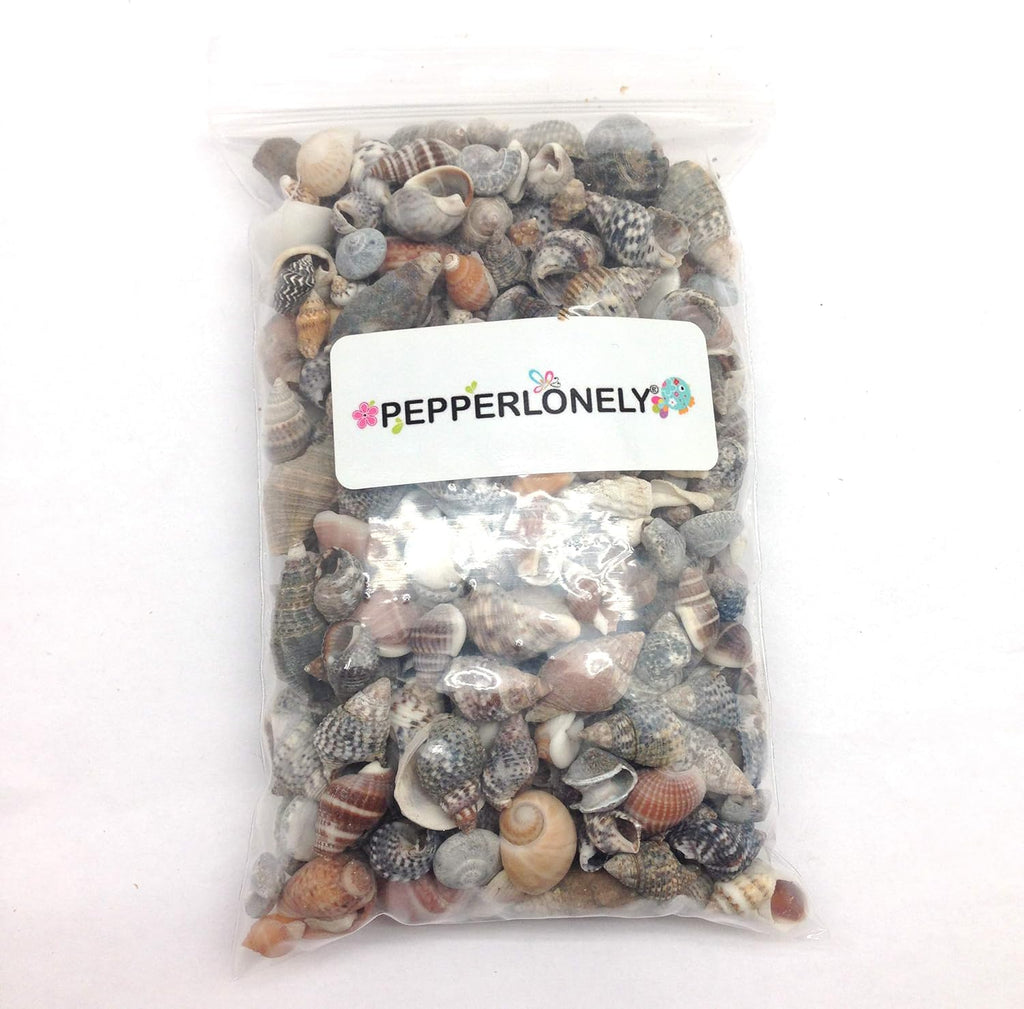 PEPPERLONELY Indian Ocean Small Mix Sea Shells, Small Shells Mixed, 8 OZ Apprx. 300+ PC Shells, 1/4 Inch ~ 1 Inch
