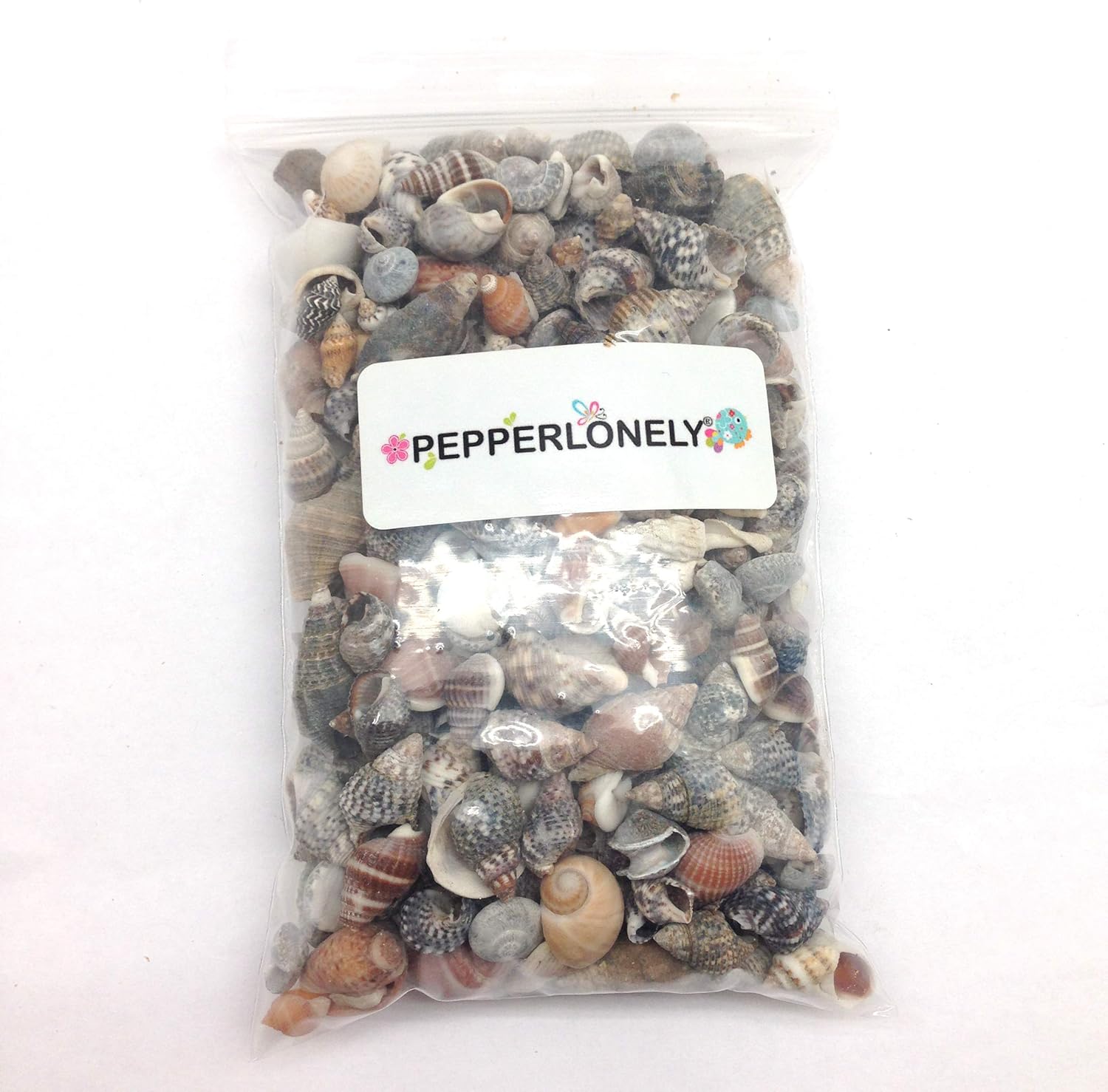 PEPPERLONELY Indian Ocean Small Mix Sea Shells, Small Shells Mixed, 8 OZ Apprx. 300+ PC Shells, 1/4 Inch ~ 1 Inch