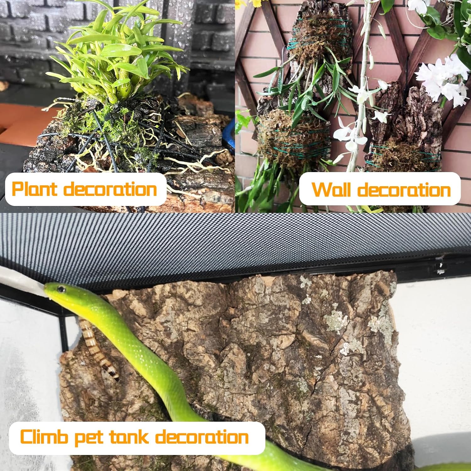Hamiledyi 8PCS Cork Terrarium Background 15.7x11.8in Natural Large Cork Bark Backdrop Reptile Climbing Mat Tank Habitat Decor for Spider Lizard Chamelon Turtle Beared Dragon