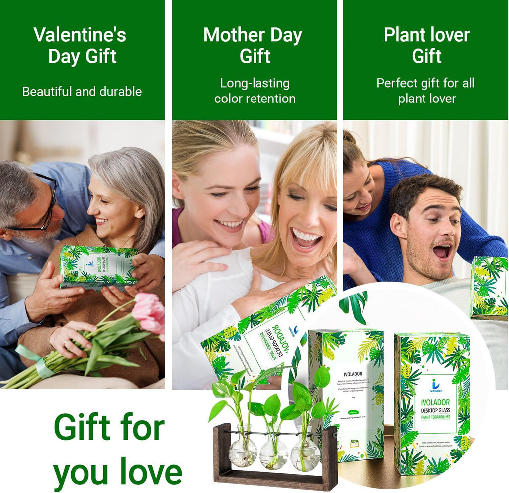 Propagation Station, Plants Terrarium, Plants Lover Gifts for Women,Plant Cutting Holder Home décor,Gifts for Women,House Warming New Home-3 Bulbs-Mounted