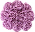 U'Artlines Artificial Peony Silk Flower with Stems 10pcs Real Look Vintage Peonies for Home Wedding Decoration (Purple)