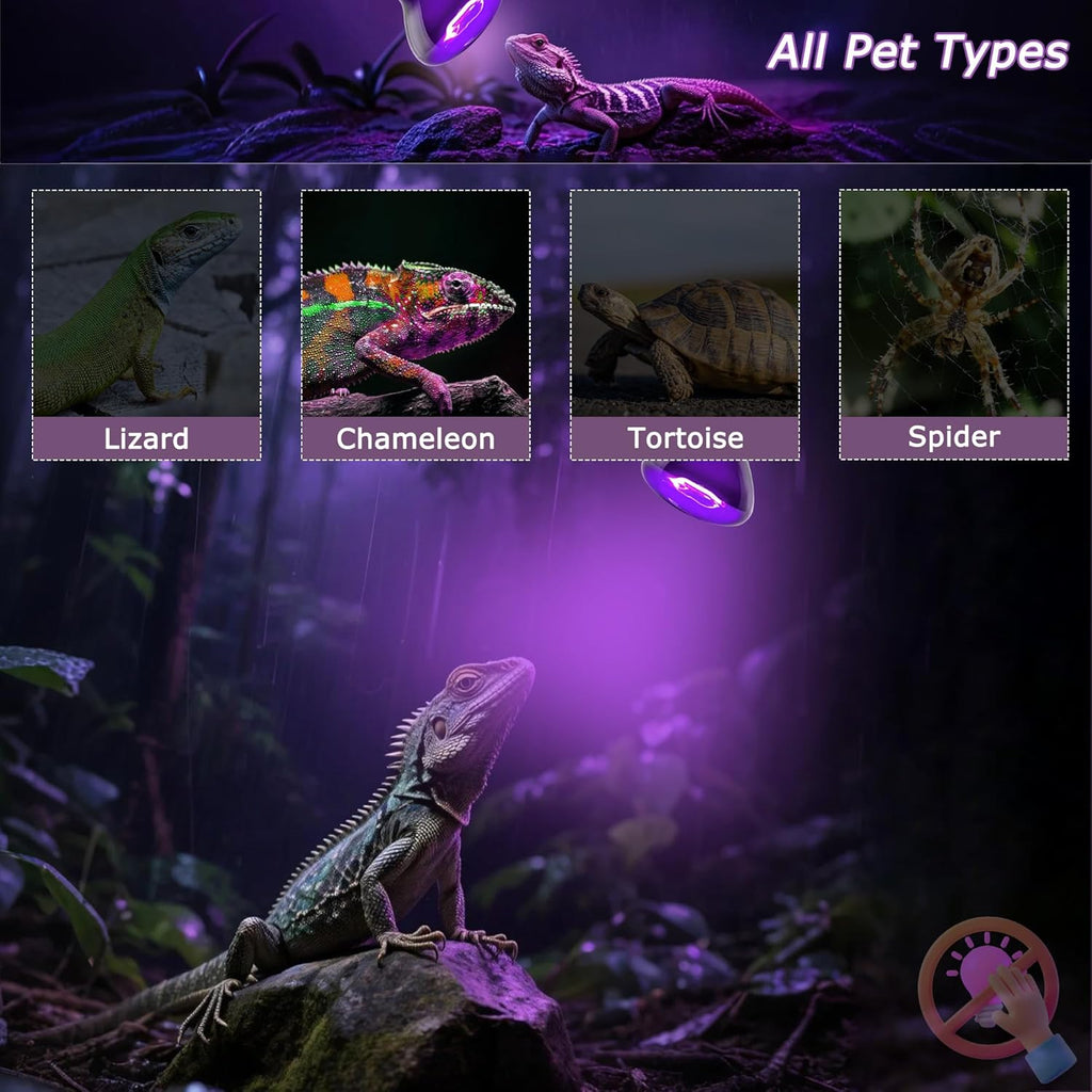 75W Reptile Night Light Bulb – 2.5" Compact Purple UVA Basking Lamp for Lizards, Chameleons, Snakes, Turtles, Amphibians, Bearded Dragons – Indoor Terrarium Heat & Night Lamp, 2-Pack