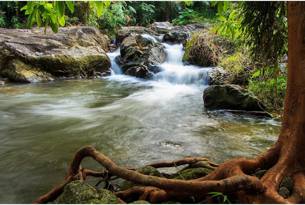 Waterfall Aquarium Background Natural Jungle Rainforest Landscape Terrarium Background Jungle Style Stream Fish Tank Background Waterfall Rainforest Reptile Habitat Background Poster Vinyl 48x18in