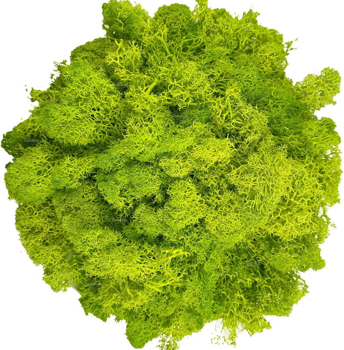 Moss Preserved Artificial Moss for Potted Plants Natural Fresh Green Moss for Crafts Arts Floral Project Wall Decor fake Moss Wedding Centerpieces Garden Terrariums Decoration Light-Yellow Green 3.5OZ