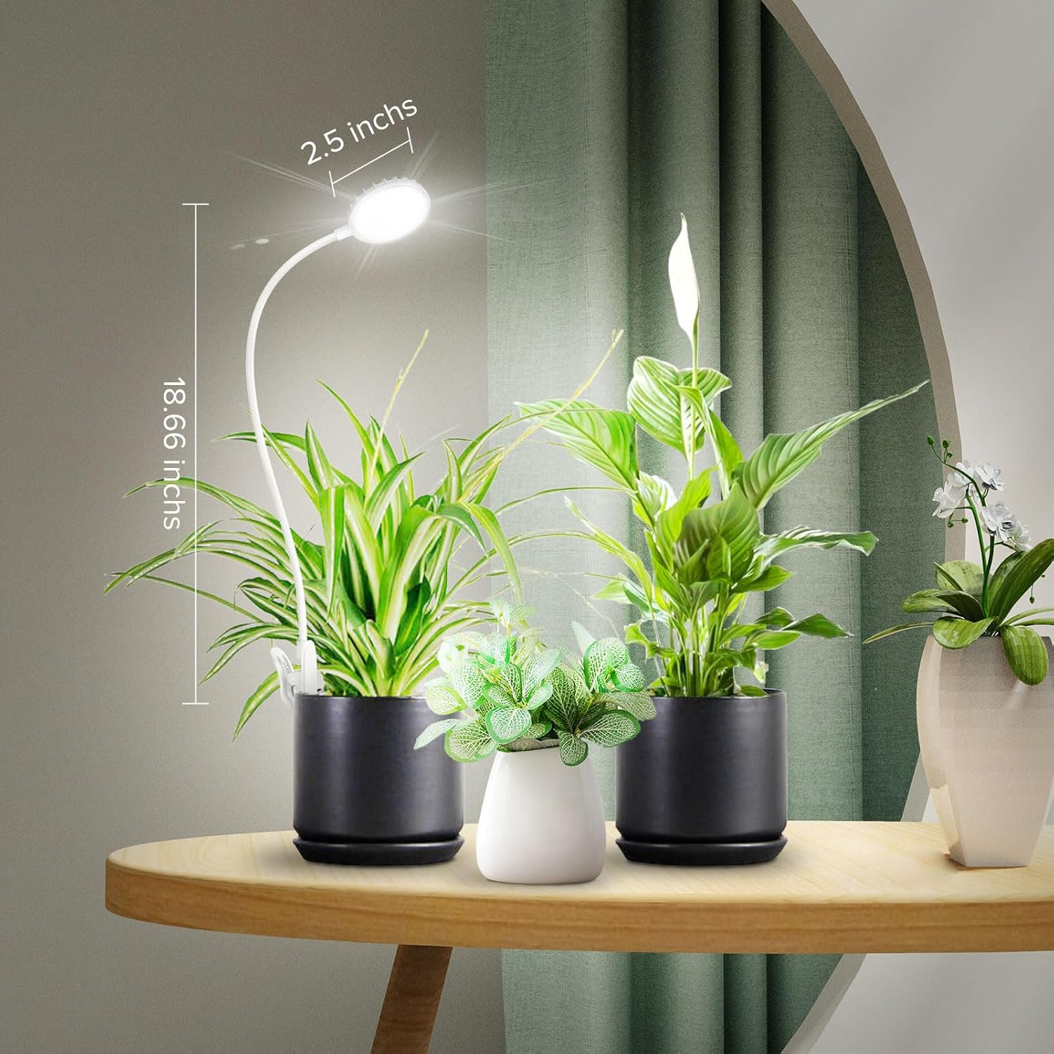Grow Light, Full Spectrum LED Plant Light for Indoor Plants, 10W Clip On Growing Lamp with Auto On/Off Timer 3/6/12H, 4 Dimmable Brightness, Ideal for Indoor Growing