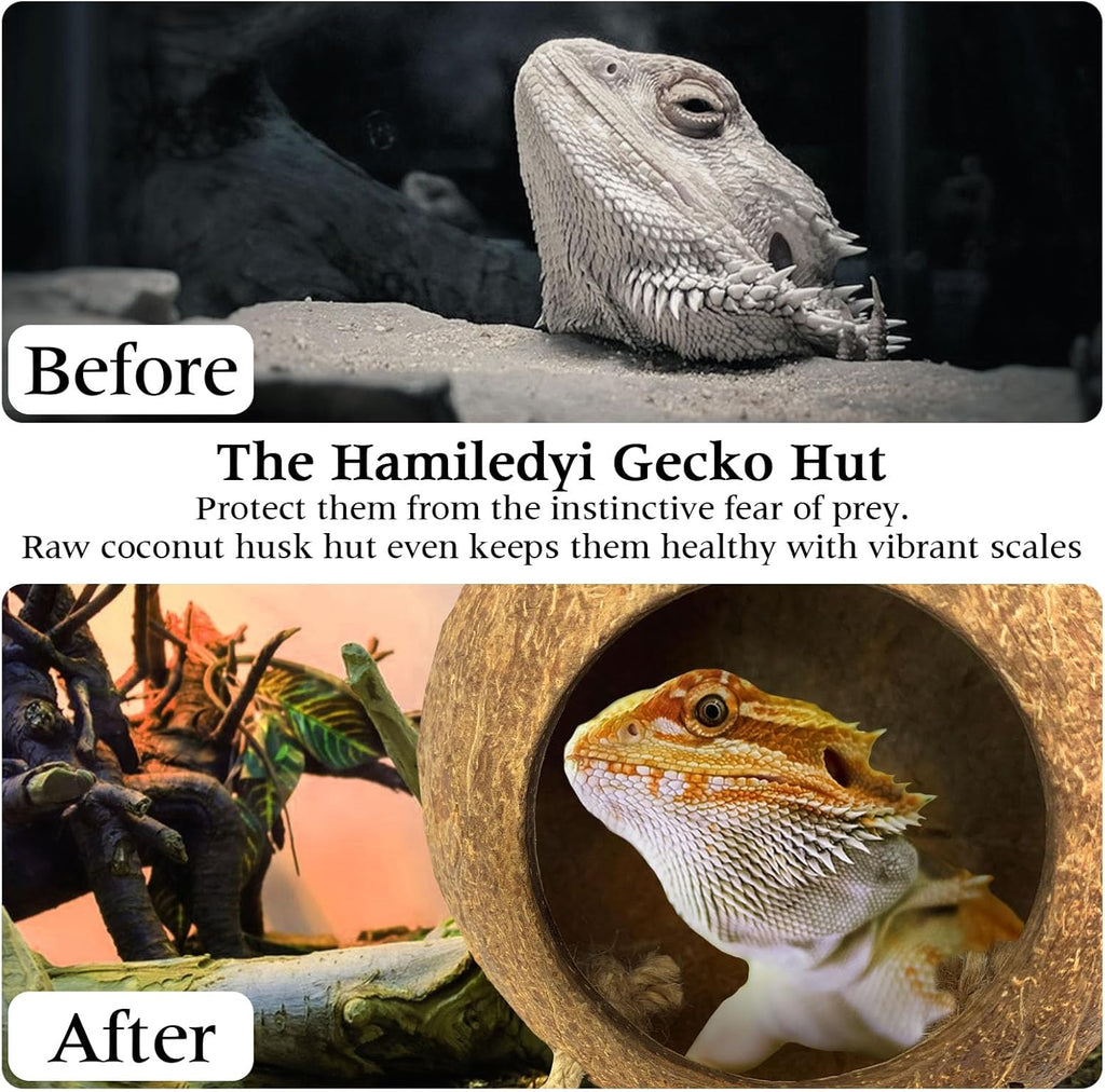 Hamiledyi Lizard Coco Den Reptile Hideouts Gecko Coconut Shell Hut Coconut hut for Geckos Bearded Dragon Tank Accessories Coconut Lizard Hut with Ladder - Natural Coconut Fiber