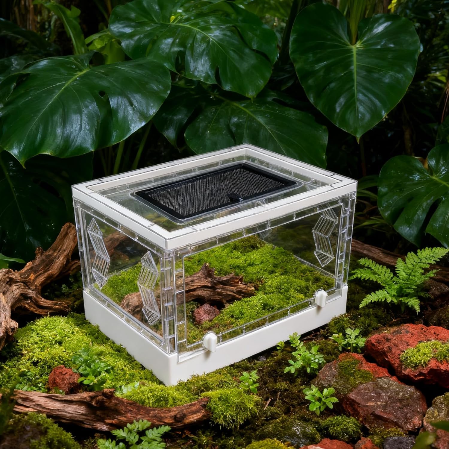 Folding Reptile Terrarium 17" × 12" × 10" – Portable Clear Habitat Tank with Front Opening Door & Ventilation, Easy Assembly for Geckos, Lizards, Snakes, Turtles, Spiders & Amphibians