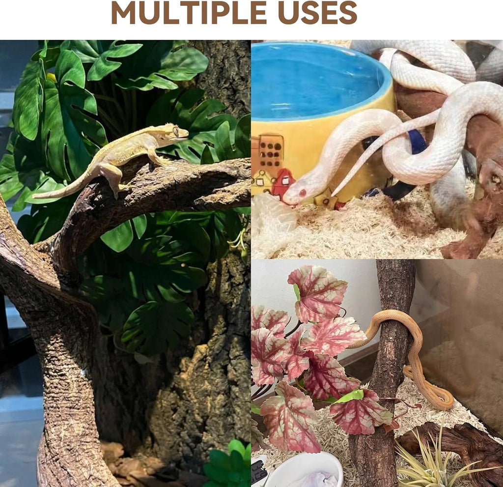 BNOSDM 2PCS Reptile Wood Branches, Snake Climbing Branch, Bearded Dragon Climbing Accessories, Lizard Habitat Decor, Terrarium Tree Trunk Ornament for Gecko Frog Chameleon Spider