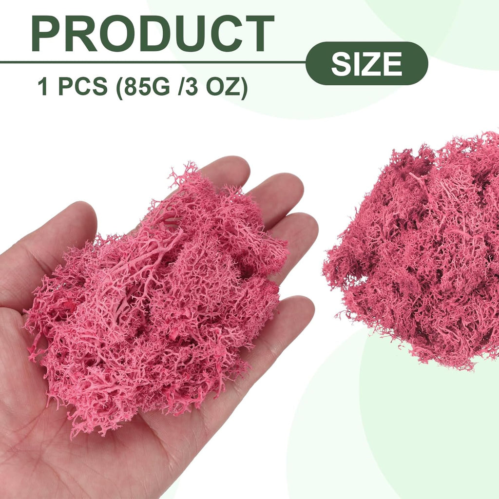 MECCANIXITY 3oz Preserved Reindeer Moss, Dark Pink Decorative Artificial Fake Moss for Potted Plants Indoor Crafts Lichen Centerpieces Decor