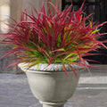 Uieke 28 Bundles Artificial Outdoor Plants UV Resistant Fake Grass Plants Faux Plastic Plants Greenery Shrubs for Home Garden Pathway Window Box Front Porch Summer Fall Decor, Deep Red