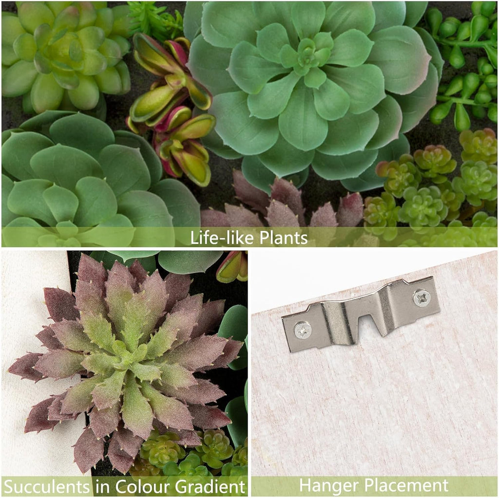 Wall Artificial Succulent Hanging Decor Plants Fake Succulents String of Pearls Arrangement with Wooden White Frames Faux Plants Hanging Boho Decor for Livingroom Bedroom Home Decor 10.2"x 2.3"x 13.7"