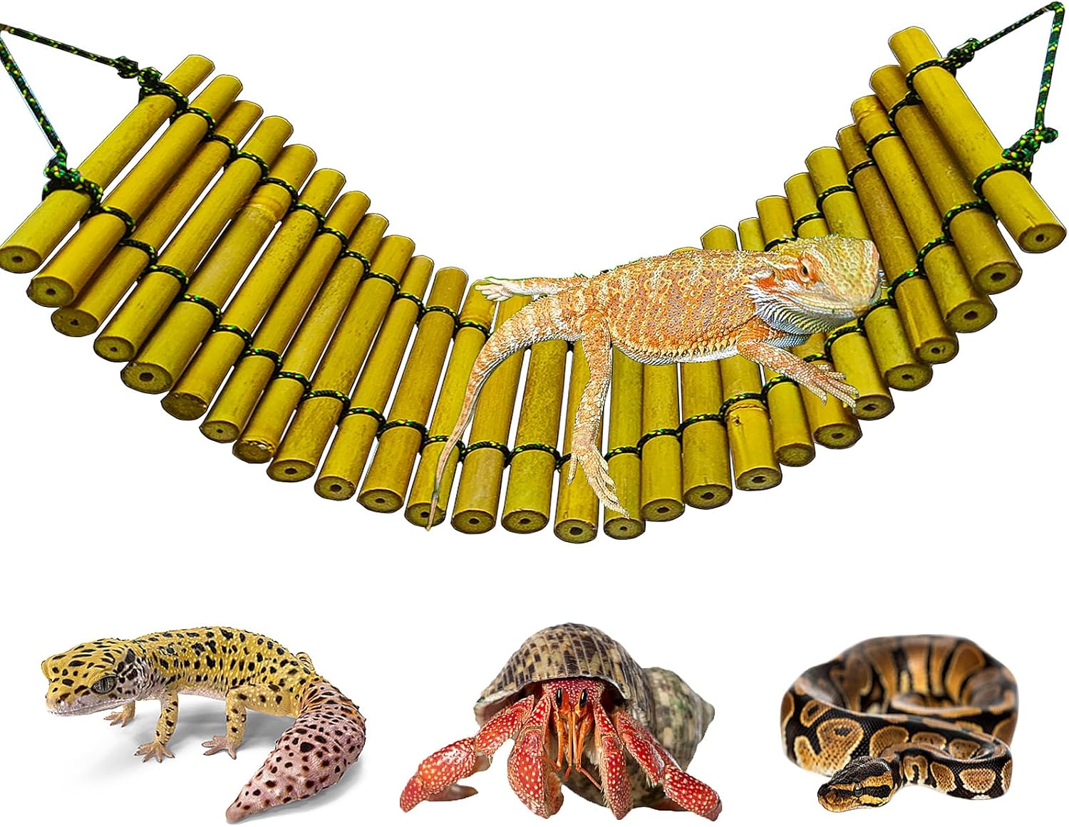 Bearded Dragon Tank Accessories, Reptile Climbing Hammock Bridge, Lizard Lounger Bamboo Ladder, Reptile Tank Accessories for Habitat, 18 x6 in