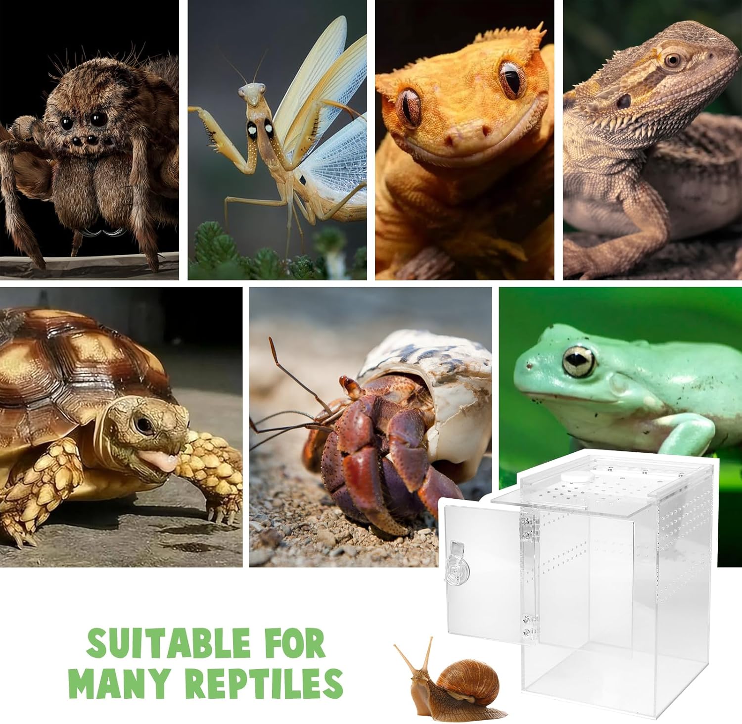 Front Opening Terrarium Jumping Spider Enclosure,Tall Arboreal Tarantula Enclosure Terrarium with Cross Ventilation,Waterproof Acrylic Reptile Enclosure