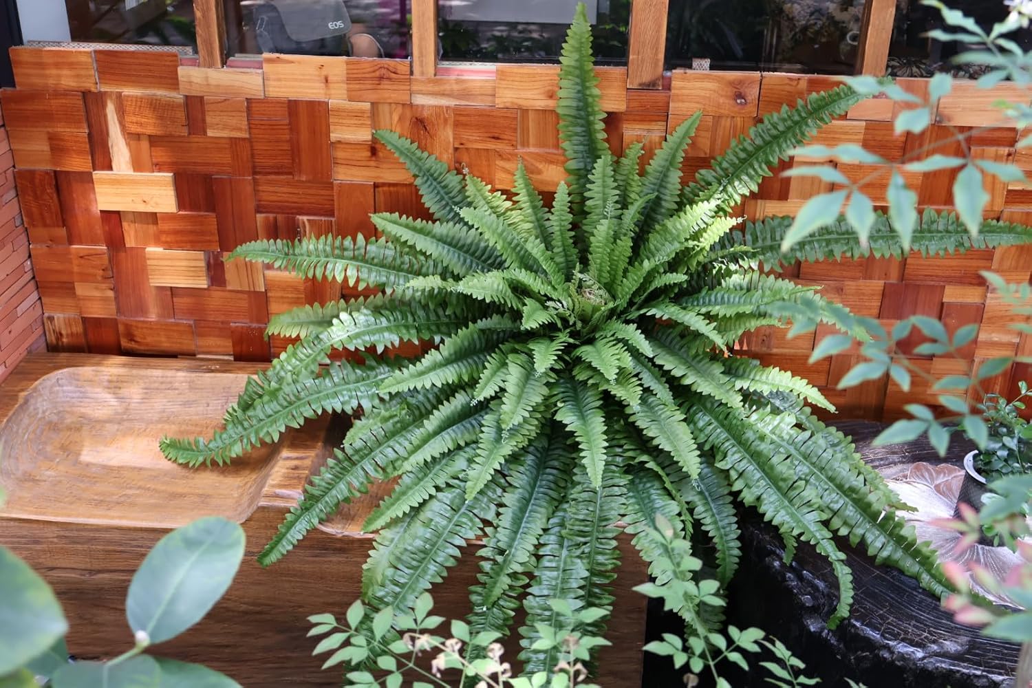 Fake Fern, 68" Large Artificial Ferns for Outdoors & Indoors, UV Resistant Faux Boston Fern Greenery with Lush Long Leaves Suitable for Planters Porch Windowsills Garden Home Decor, Hanging or Potted