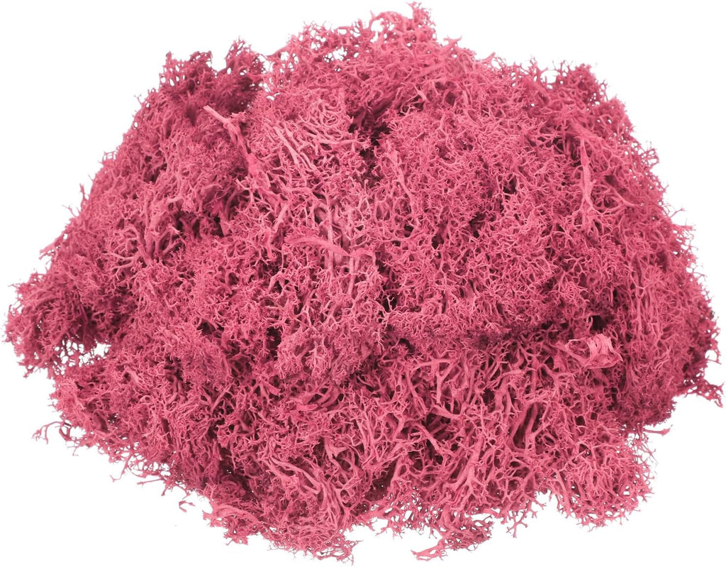 MECCANIXITY 4.6oz Preserved Reindeer Moss, Dark Pink Decorative Artificial Fake Moss for Potted Plants Indoor Crafts Lichen Centerpieces Decor