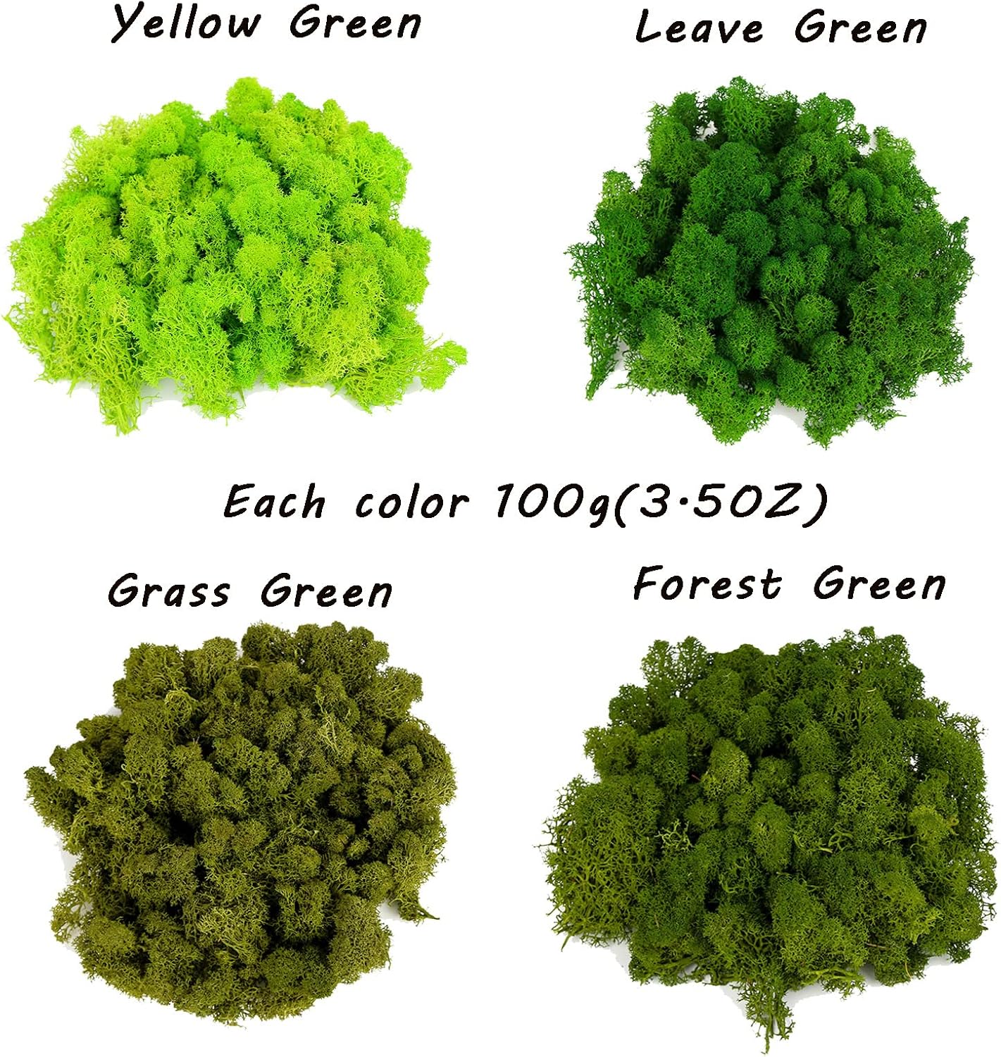 Amoueterno Preserved Moss 4 Color Reindeer Moss,Total 14OZ Each Color 3.5OZ, Natural Real Green Moss DIY Kit Moss Crafts Art Wall Decor Florist Decor Forest Green/Yellow Green/Leaves Green/Grass Gree