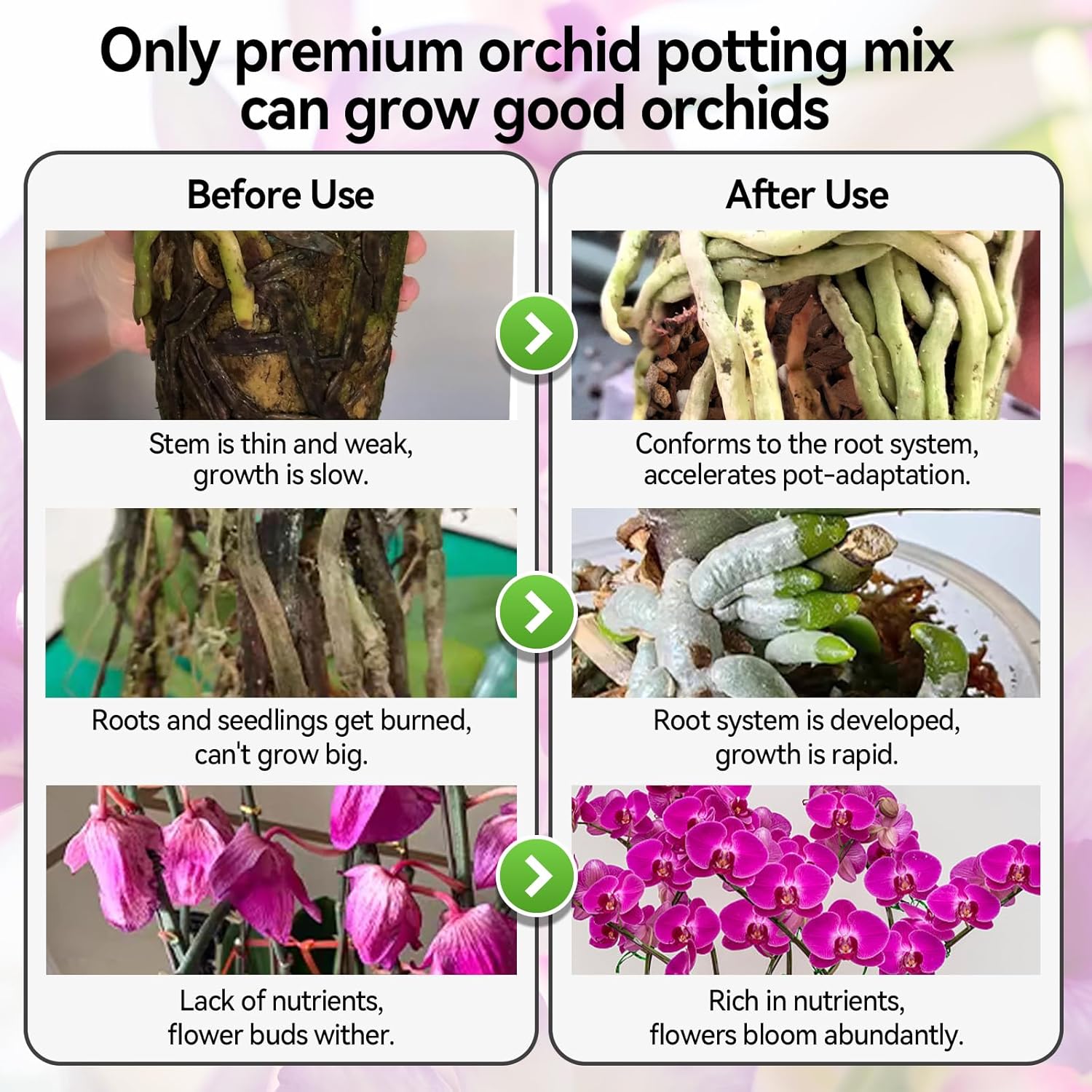 Orchid Bark Potting Mix with Pine Bark and Perlite, Fast Draining Orchid Soil for Healthy Roots, Ideal for Repotting Orchid and Orchid Bark for Indoor Plants (6 Quarts)