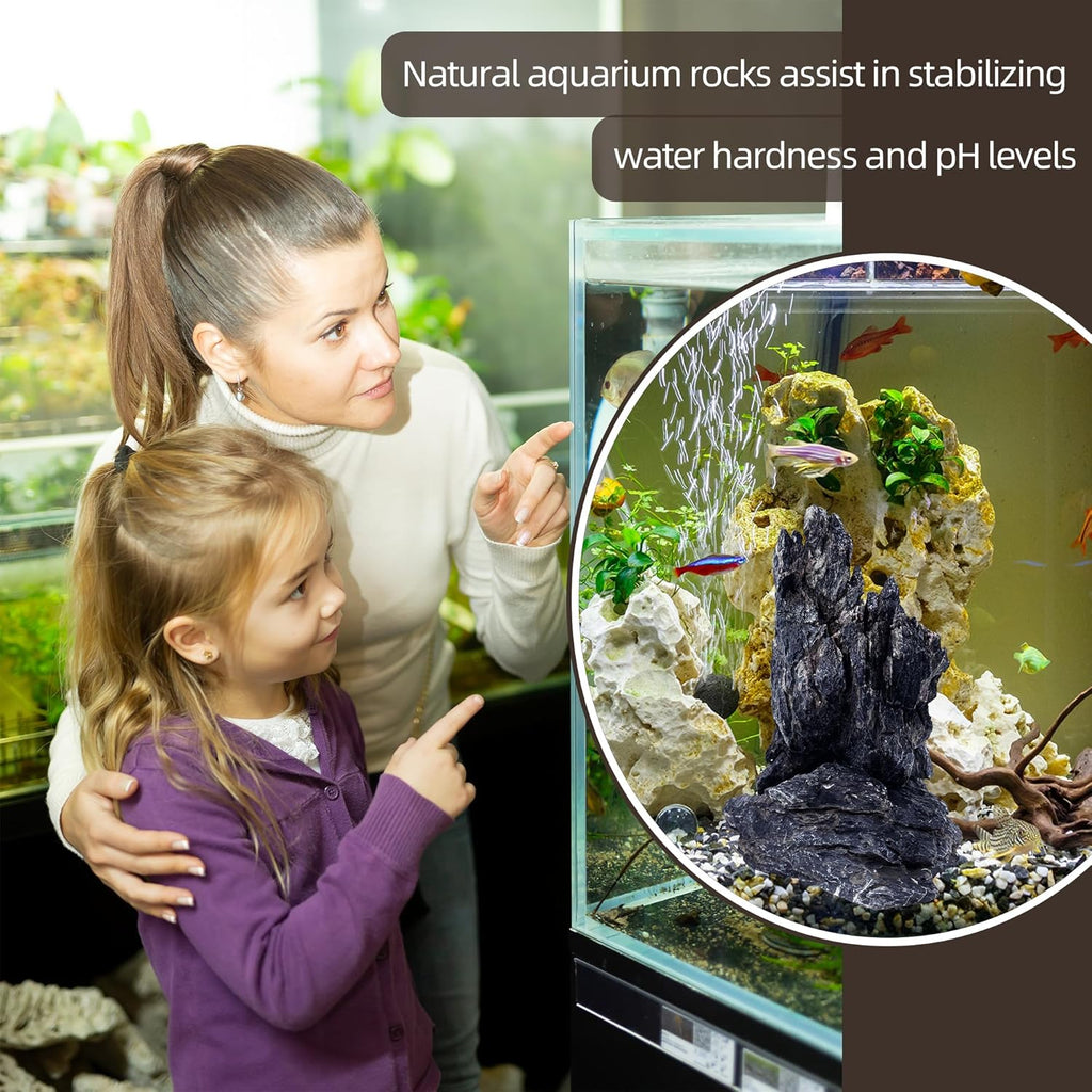 7/12 Pounds Natural Stream Slab Stones,Dragon-Rock Stone,Seiryu Stones Perfect for Aquariums,Fish Tanks,Terrariums,Landscaping Model,Reptile Rest Rock (Seiryu Stones, 7 LB)