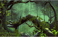 Forest Aquarium Background Jungle Plants Lush Green Trees Reptile Habitat Background Foggy Rainforest Natural Landscape Fish Tank Background Misty Rainforest Terrarium Background Vinyl 36x24in