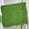 Artificial Green Moss Mat for Decoration Carpet Grass Wall, Natural Preserved Moss Mat, Green Moss Sheets for Crafts Woodland Decor Garden Party Decorations Wall Art DIY Project (19.68*19.68 inch)