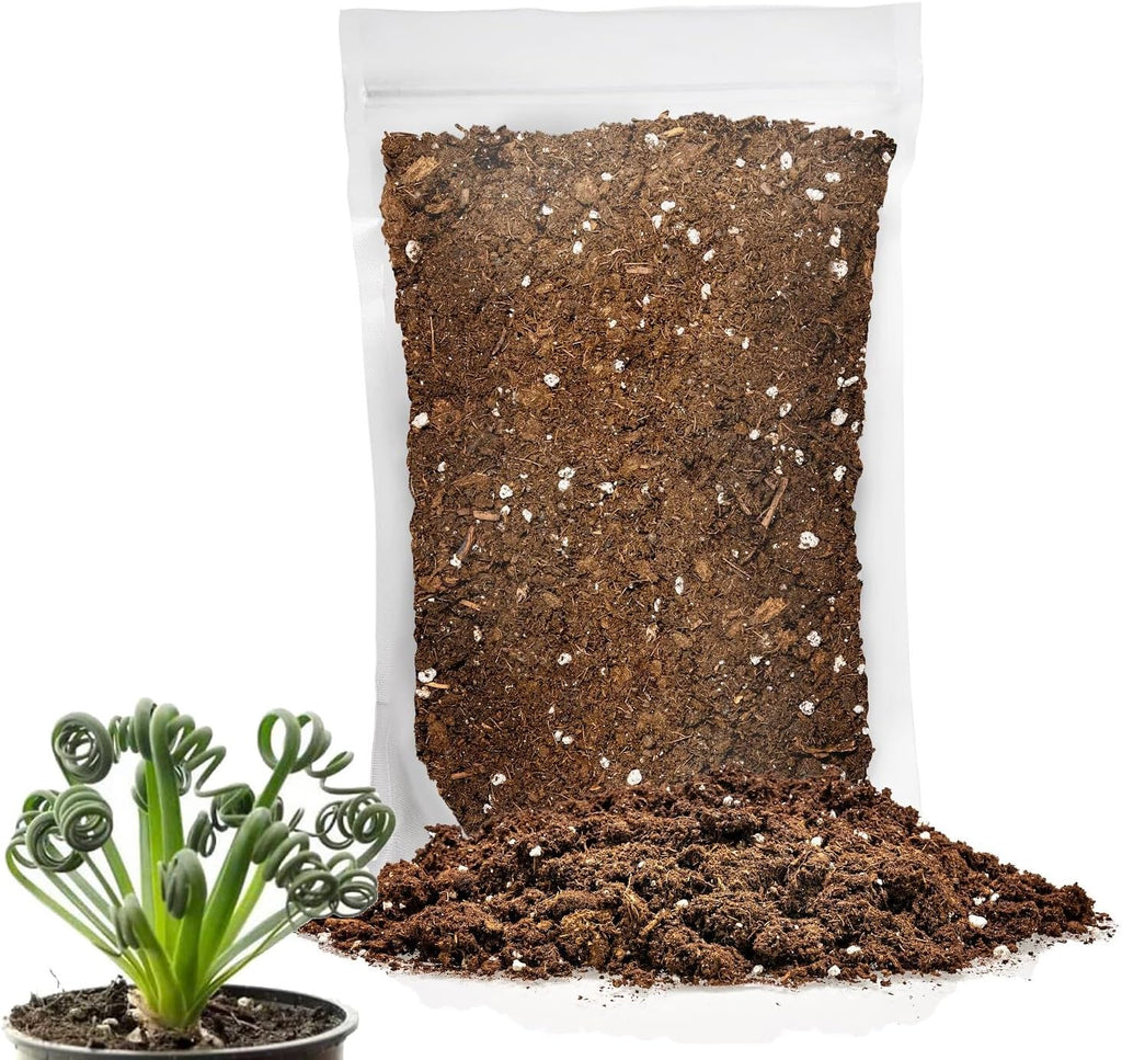 Gardenera Premium Albuca Spiralis Potting Soil Mix - Perfect Balance of Nutrients, Drainage, and Aeration for Thriving Blooms - 10 Quart
