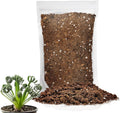 Gardenera Premium Albuca Spiralis Potting Soil Mix - Perfect Balance of Nutrients, Drainage, and Aeration for Thriving Blooms - 5 Quart