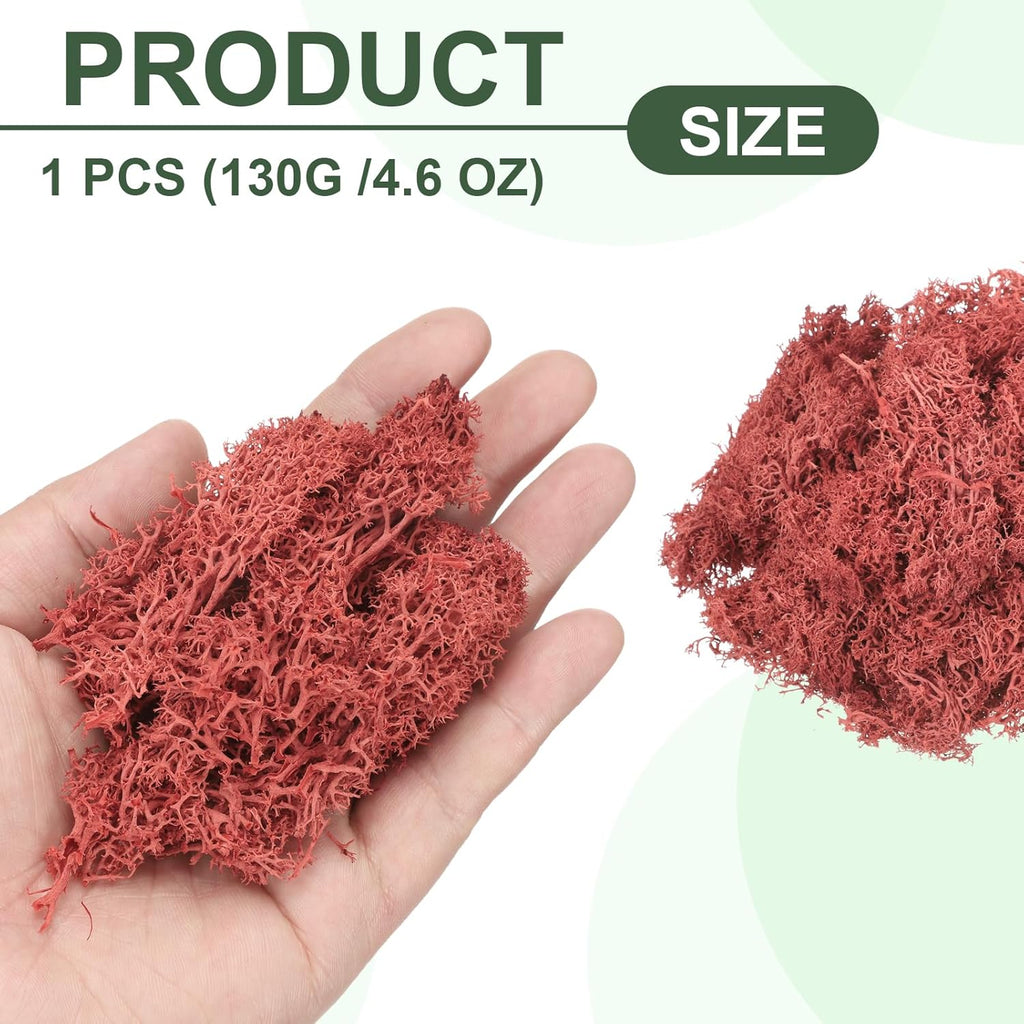 MECCANIXITY 4.6oz Preserved Reindeer Moss, Red Decorative Artificial Fake Moss for Potted Plants Indoor Crafts Lichen Centerpieces Decor