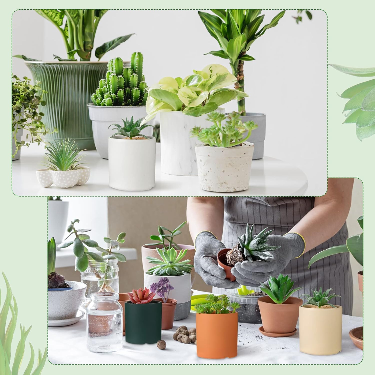 WILLBOND 50 Pcs Bulk Mini Artificial Succulents Plants Assorted Unpotted Realistic Plants Fake Textured Succulent Picks Realistic Plastic Cactus Stems for Succulent Garden Home Decor (Normal Style)