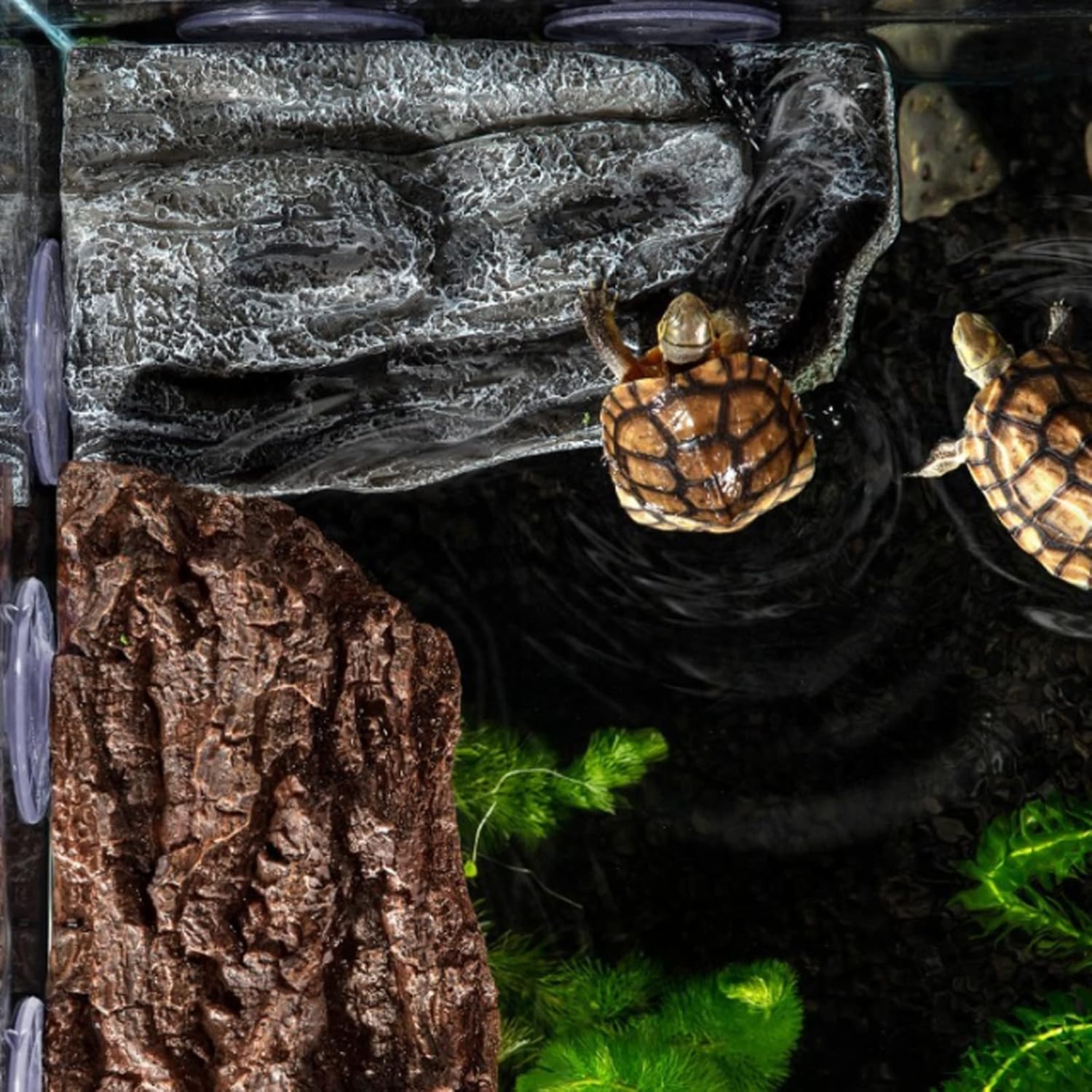 Turtle Basking Platform,Fish Tank Aquarium Tortoise Climbing Platform with 3 pcs Suction Cups,Float Resting Terrace for Frogs, Terrapins(Artificial Bark,Rock) (Grey)