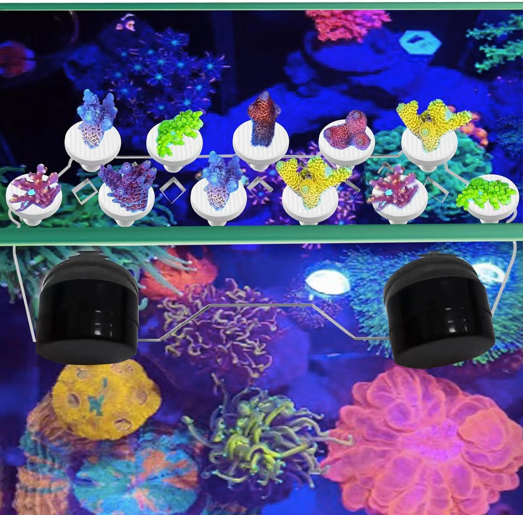 Coral frag Magnetic Holder, Magnetic Coral frag Plug Holder，,Magnetic Coral frag Rack，The Medium Magnetic Coral frag Holder Set with 11 Coral frag Plug Ceramic Bases