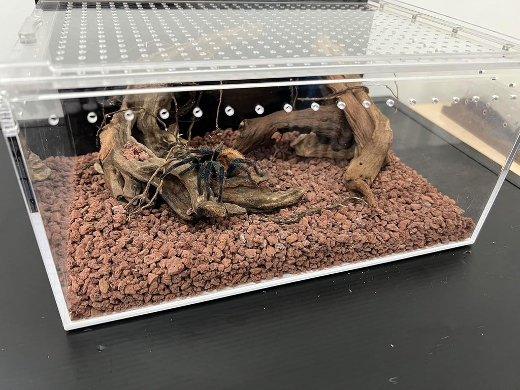 Reptile Tank Enclosure with Magnetic Button.12*8*6"Thicken Snake Enclosure Cage,Cross Ventilation Reptile Terrarium,5 Gallon Acrylic Enclosure Tarantula Enclosure for Snake,Hermit Crab,Frog,Tortoise