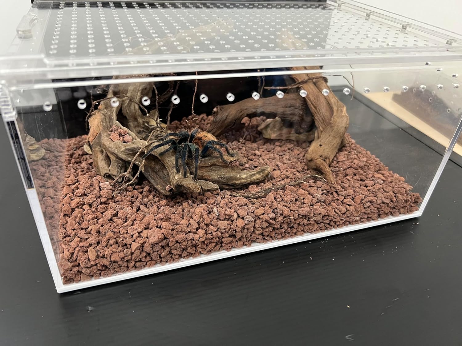 Reptile Tank Enclosure with Magnetic Button.12*8*6"Thicken Snake Enclosure Cage,Cross Ventilation Reptile Terrarium,5 Gallon Acrylic Enclosure Tarantula Enclosure for Snake,Hermit Crab,Frog,Tortoise