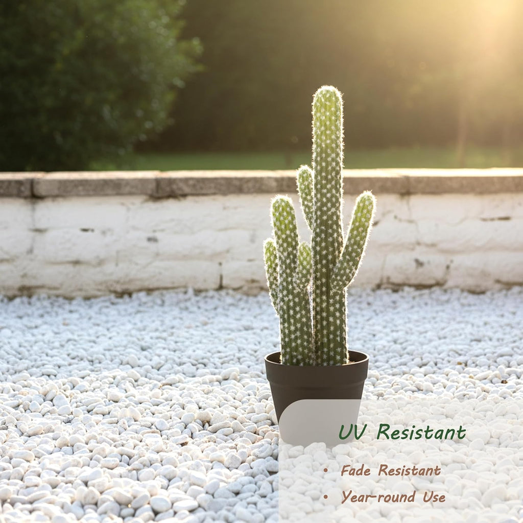bellacat 23in UV Resistant Fake Cactus, Realistic Faux Cactus Plants Indoor with Black Pot, Artificial Cacti for Table Living Room Porch Office Indoor & Outdoor Decor, 2 Pack
