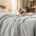 PHF Ultra Soft Flannel Fleece Blanket Twin Size, Lightweight 3D Jacquard Fleece Blanket, No Shedding, No Pilling, Luxury 340GSM Aesthetic Fluffy Cozy Bedding for Bed Room Decor, 66"x90", Light Grey