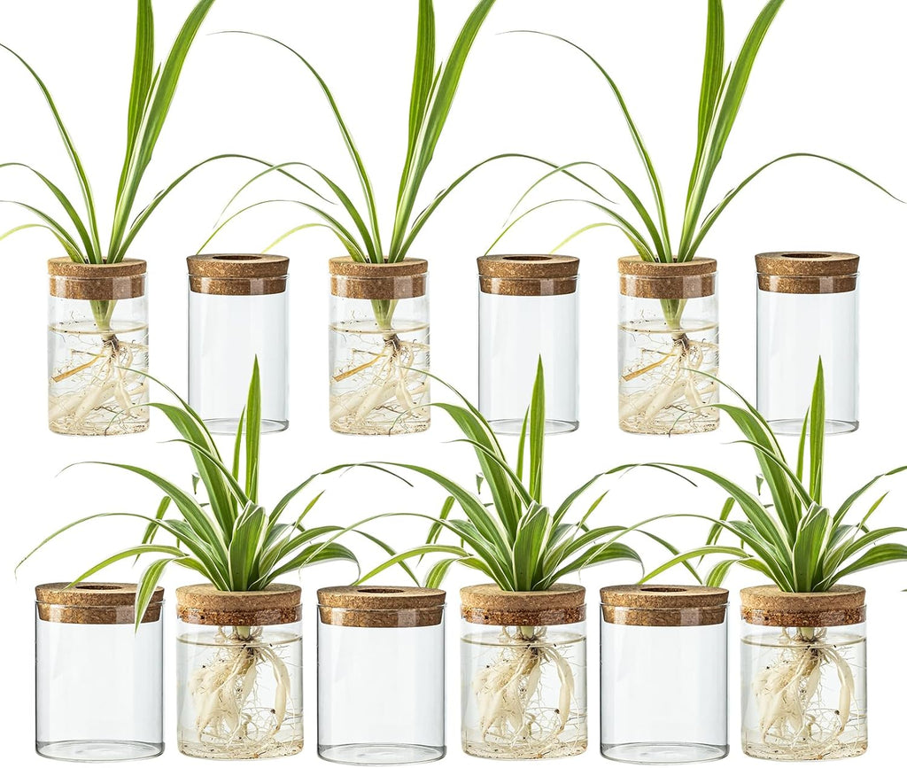 Glass Propagation Stations for Plants -Desktop Flower Vases,Propagation Flower Vases Set – 6 Large & 6 Small for Plant Cuttings，for Living Room, Bedroom Decoration,Home,Office Decor (12)