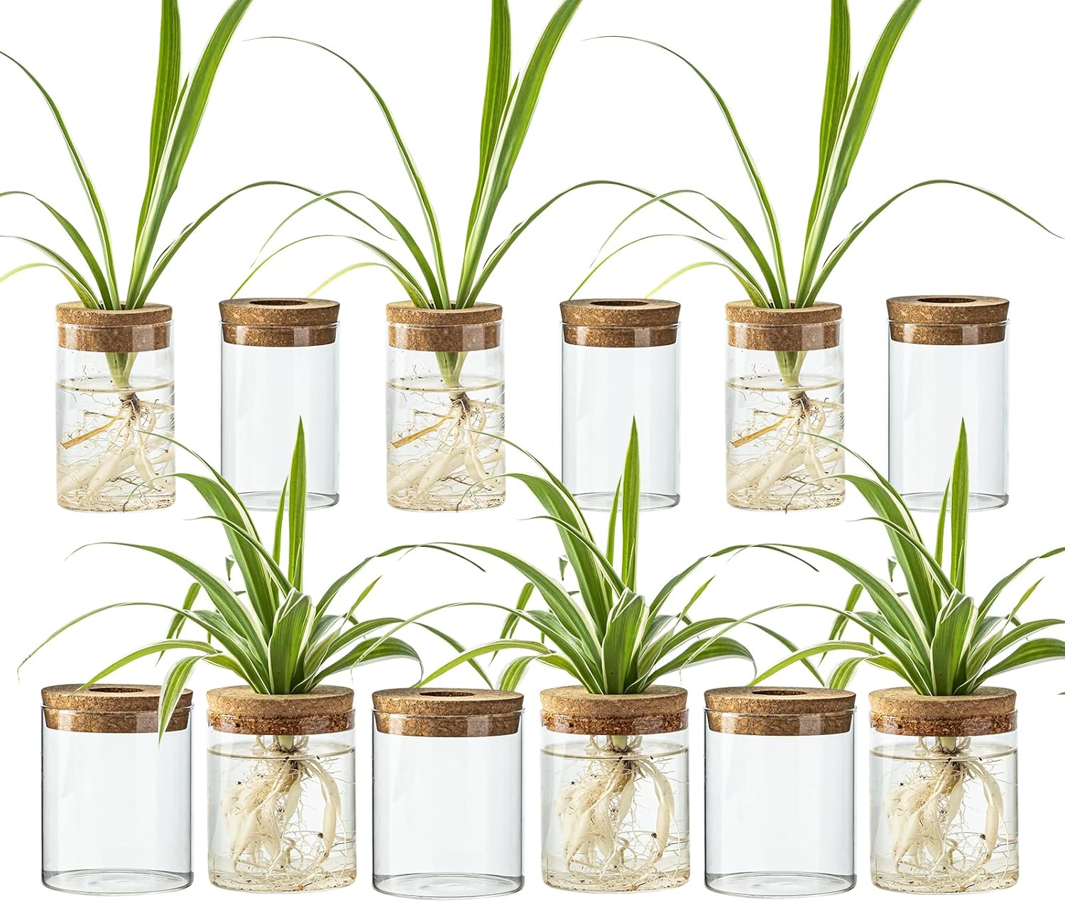 Glass Propagation Stations for Plants -Desktop Flower Vases,Propagation Flower Vases Set – 6 Large & 6 Small for Plant Cuttings，for Living Room, Bedroom Decoration,Home,Office Decor (12)