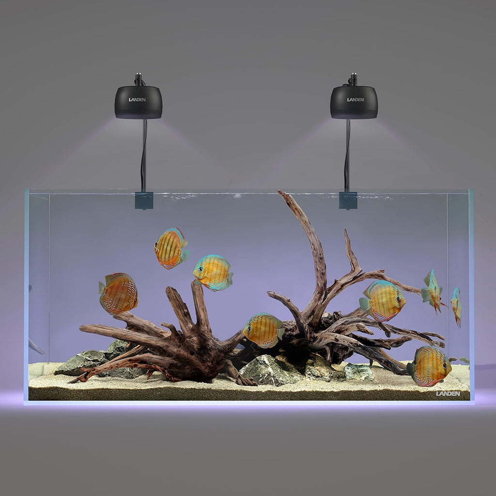 LANDEN Kueiyang Hornwood for Aquascaping, Aquarium Driftwood Decor, Natural Branches(12-14 inches, 30-35cm) 4pcs Terrariums Vivariums Reptile and Amphibian Enclosures Various Shapes