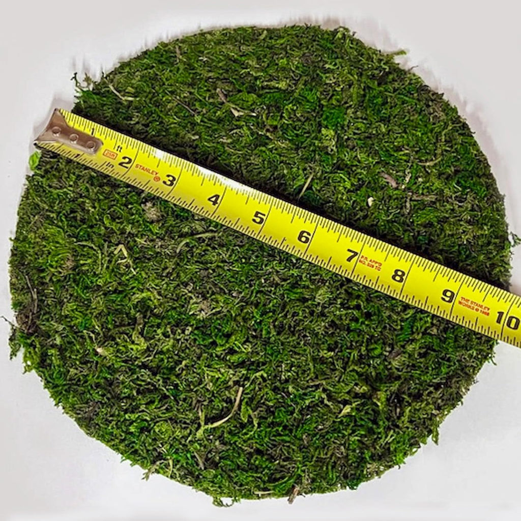 SuperMoss (26310) Moss Soil Toppers (Place Mats), Fresh Green, 10" (3 units)
