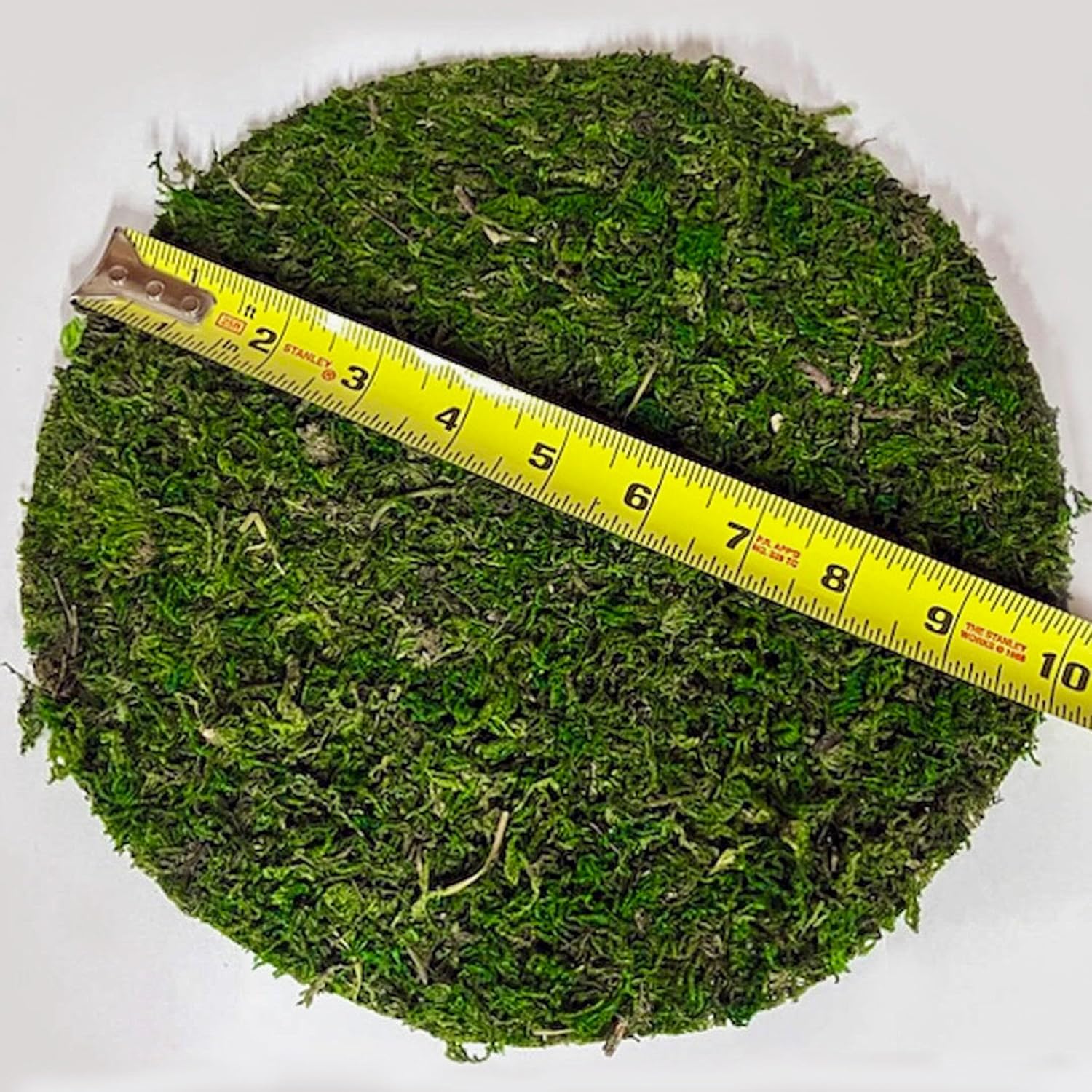 SuperMoss (26310) Moss Soil Toppers (Place Mats), Fresh Green, 10" (3 units)