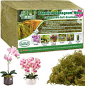 Halatool 5.5LB Green Forest Moss Natural Sphagnum Moss for Plants Fluffy Orchid Moss for Orchids Repotting Dried Plant Moss for Potted Plants Indoor & Outdoor