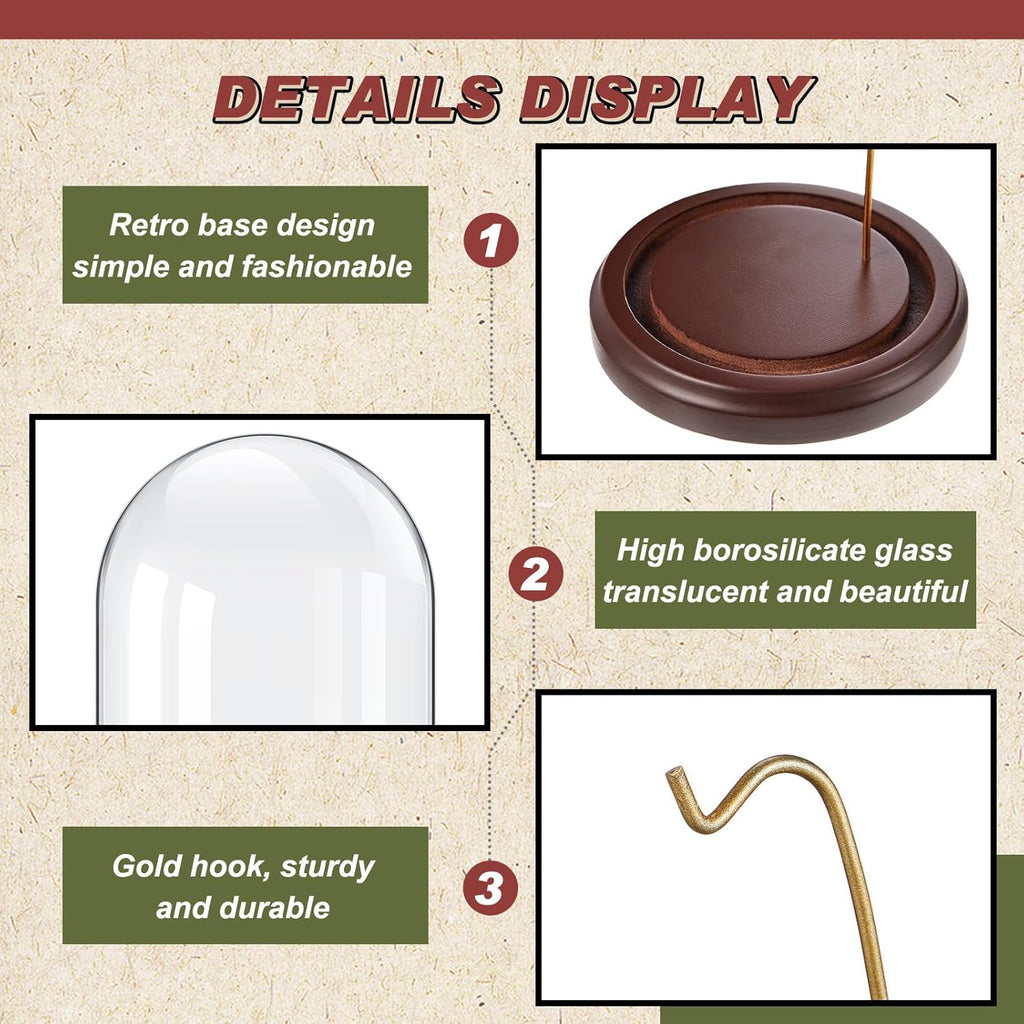2 Pcs Pocket Watch Glass Display with Hooks Dome Cloche with Wood Base Decorative Glass Display Dome Showcase for Watch Plants Medals Photos Collectibles Dark MDF Base(3" X 5",Gold Hook)