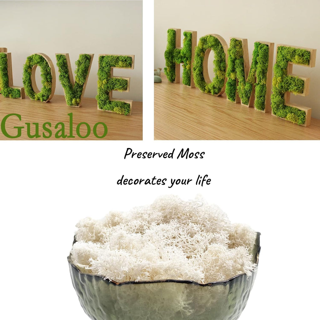Moss Preserved Natural Fresh Green Moss for Craft Arts Floral Projects, Wall Decor, Table Decor, Wedding Centerpieces, Garden, Terrariums - White, 3.5OZ