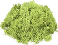 MECCANIXITY 3oz Preserved Reindeer Moss, Bright Green Decorative Artificial Fake Moss for Potted Plants Indoor Crafts Lichen Centerpieces Decor
