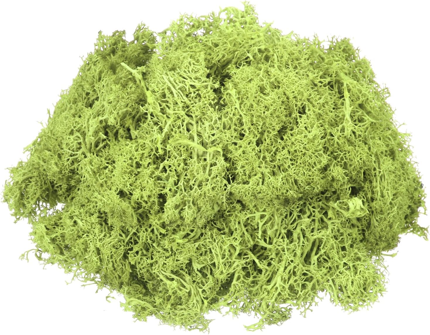 MECCANIXITY 4.6oz Preserved Reindeer Moss, Bright Green Decorative Artificial Fake Moss for Potted Plants Indoor Crafts Lichen Centerpieces Decor