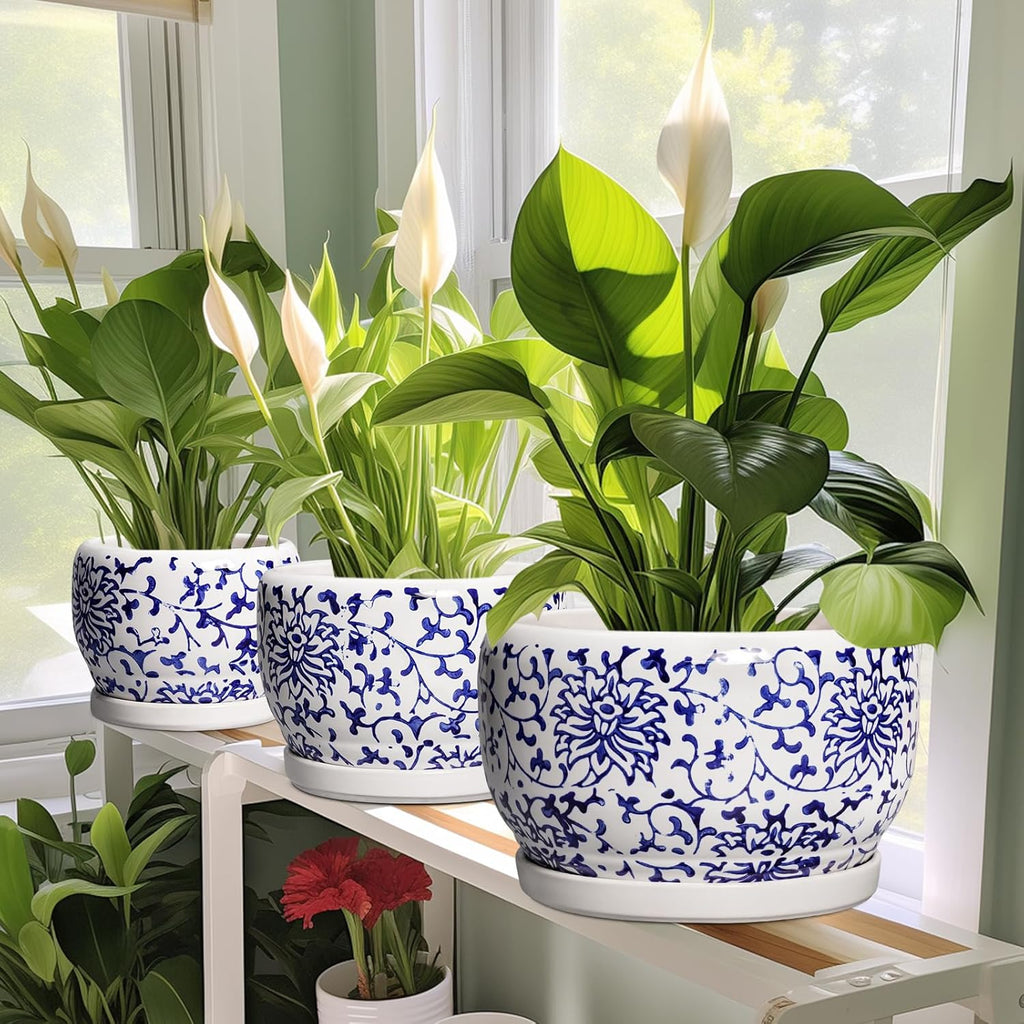 SQOWL Ceramic Pots for Plants - 8 inch Ceramic Planter with Drainage Hole and Saucer, Round Flower Pots for Indoor Plants, Porcelain Planter Outdoor, Porch Decor, Gifts for Women Men, Blue and White