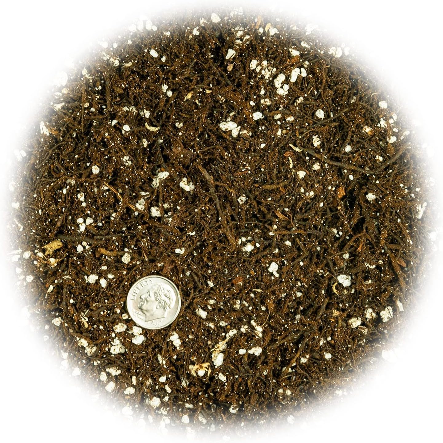 Gardenera Fern + Perlite Soil Mix for Repotting and Planting Succulents and Cactuses - 2 Quart Bag