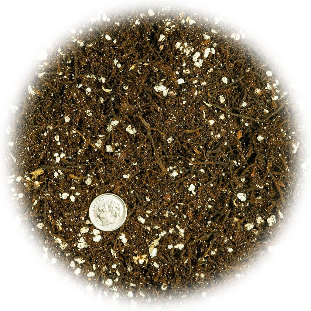 Gardenera Fern + Perlite Soil Mix - 10 Quart - for Repotting and Planting Succulents and Cactuses (2 Bags of 5 Quart)