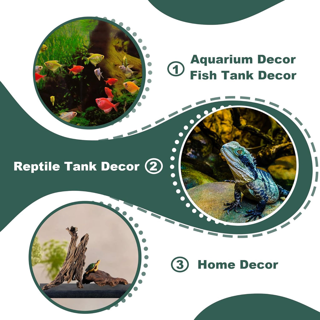 Natural Wood Driftwood for Aquarium Fish Tank Decor,Assorted Driftwood Trunk Branch for Reptile Tank Decor (MOP-ZYM Driftwood+Branch (8 to12 Inch)-Pack of 2)