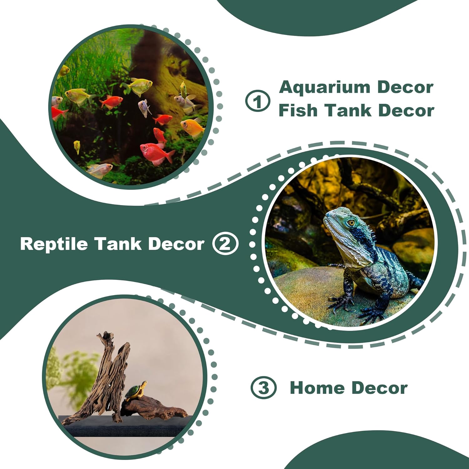 Natural Wood Driftwood for Aquarium Fish Tank Decor,Assorted Driftwood Trunk Branch for Reptile Tank Decor (MOP-ZYM Driftwood (8 to12 Inch)-Pack of 2)